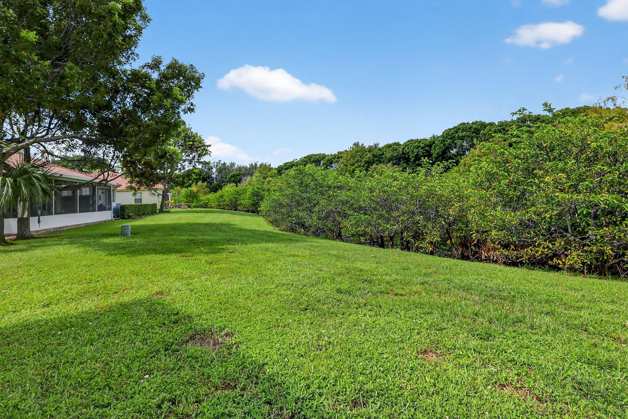 Walnut Creek - Residential