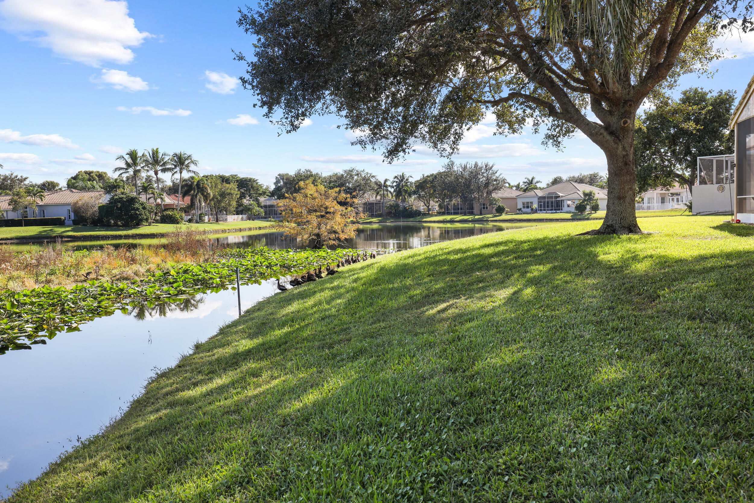 TOWNE PARK TR IA - Residential Lease