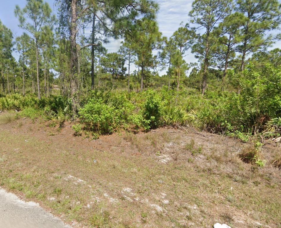 LEHIGH ACRES UNIT 5 - Land