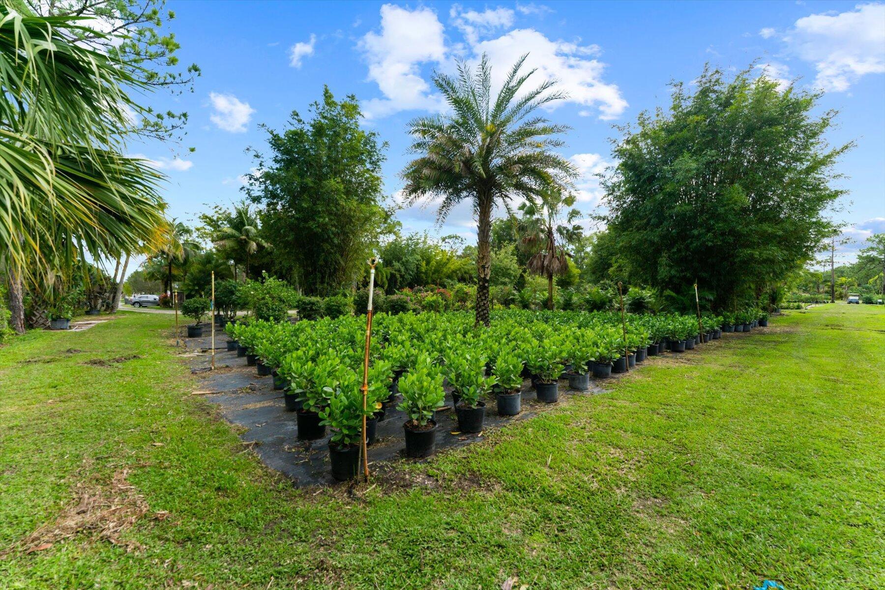 JUPITER FARMS - Residential