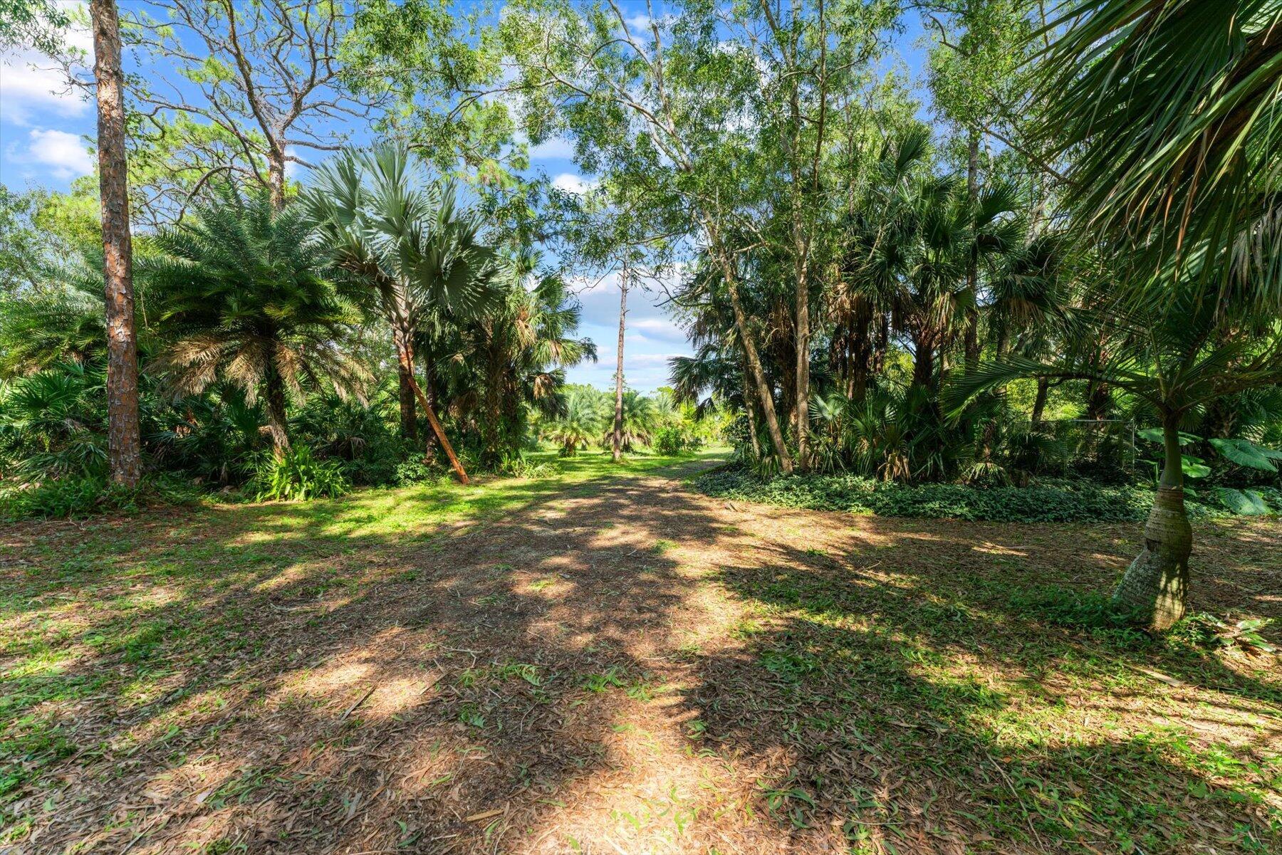 JUPITER FARMS - Residential