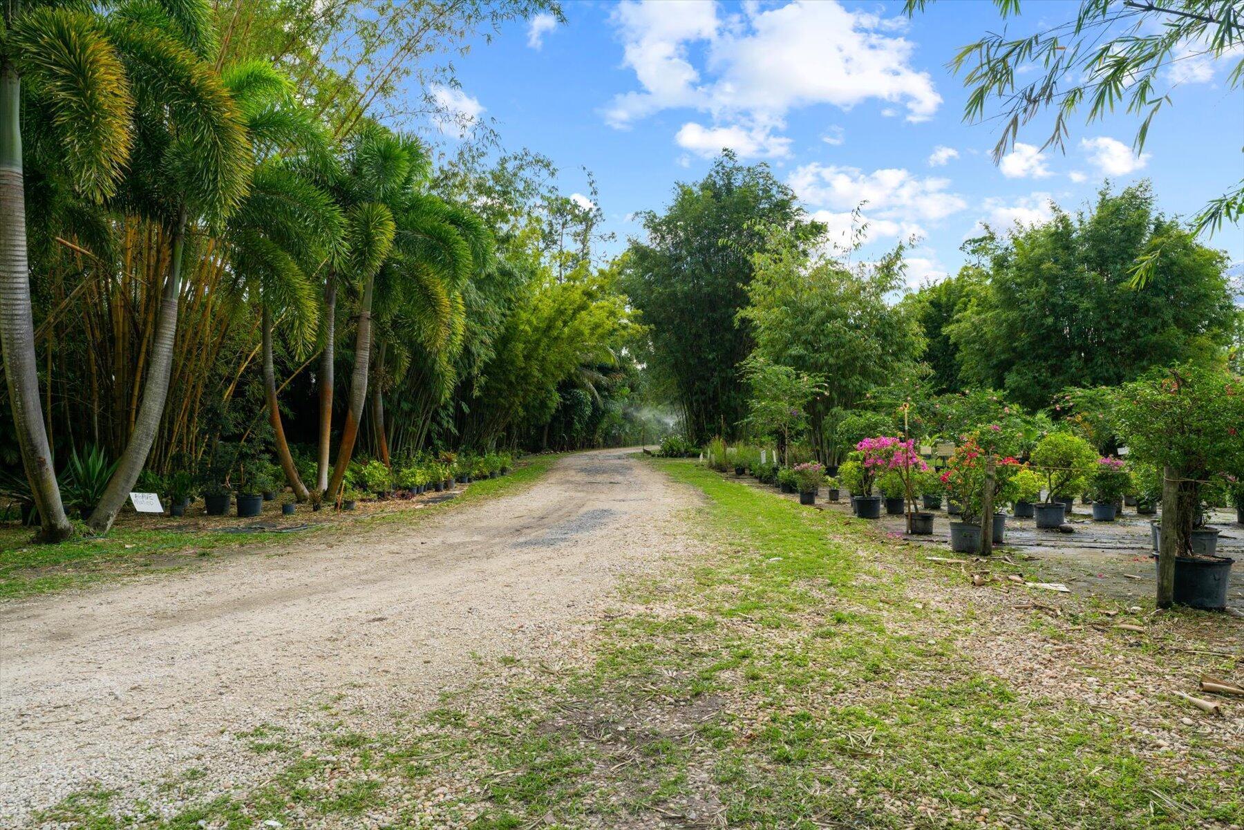 JUPITER FARMS - Residential