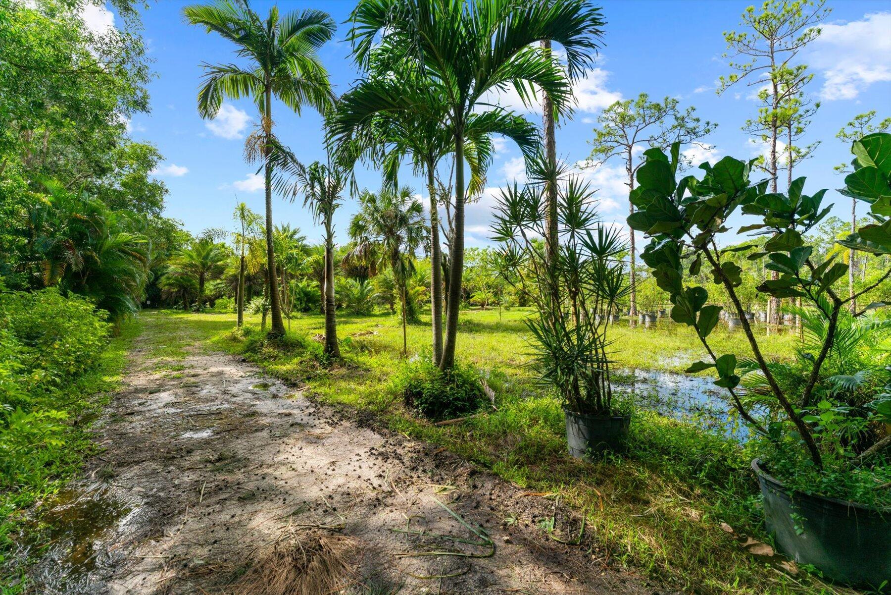 JUPITER FARMS - Residential