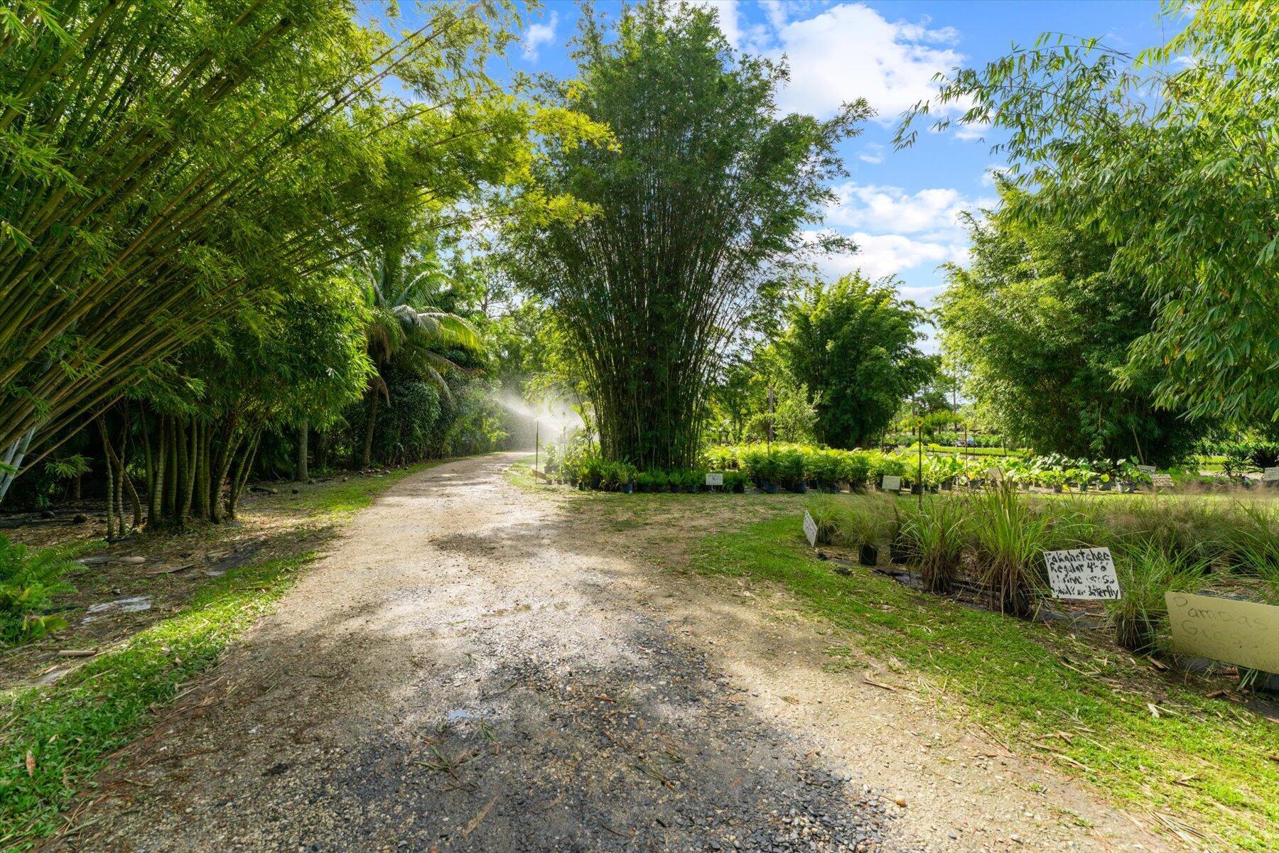 JUPITER FARMS - Residential