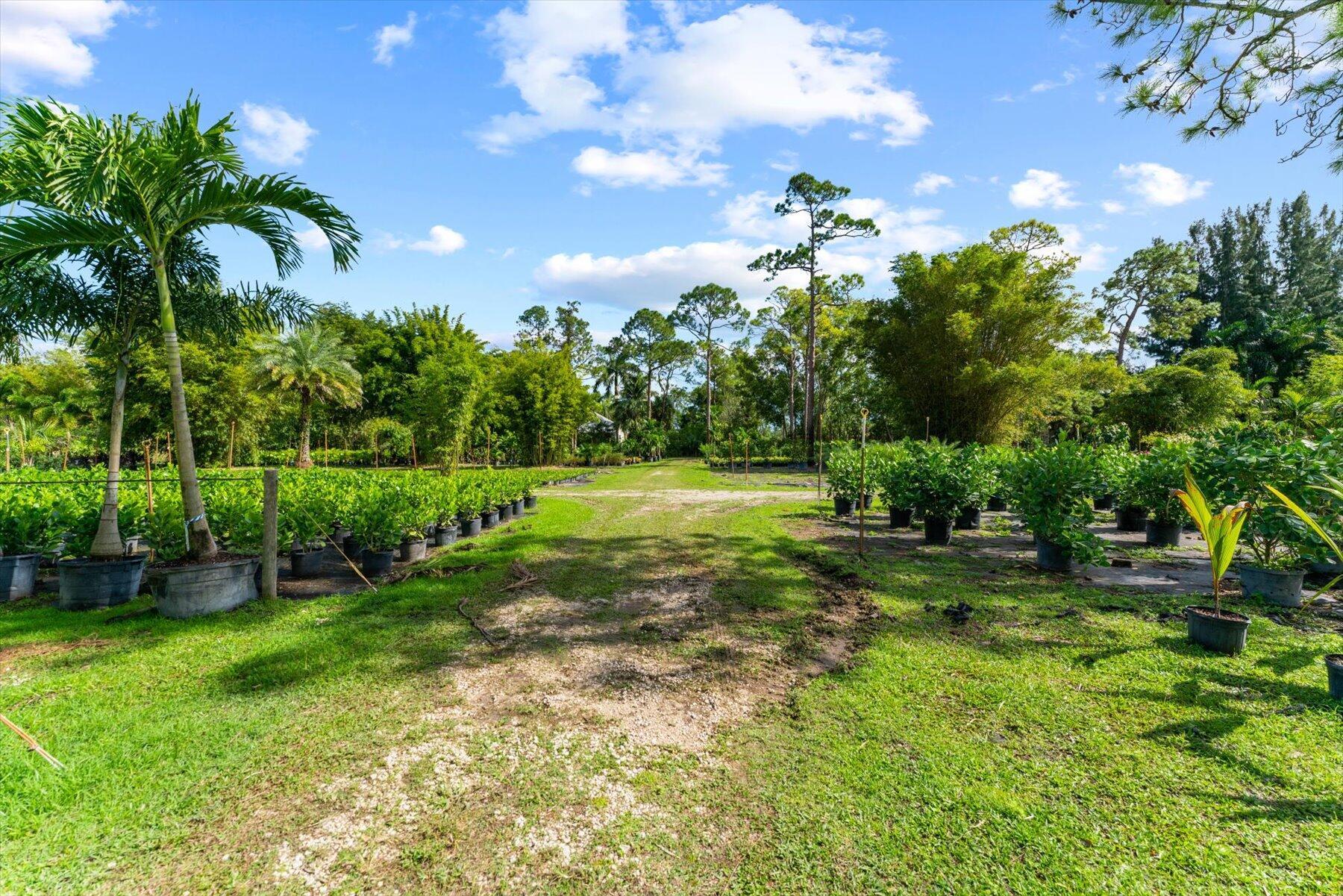 JUPITER FARMS - Residential