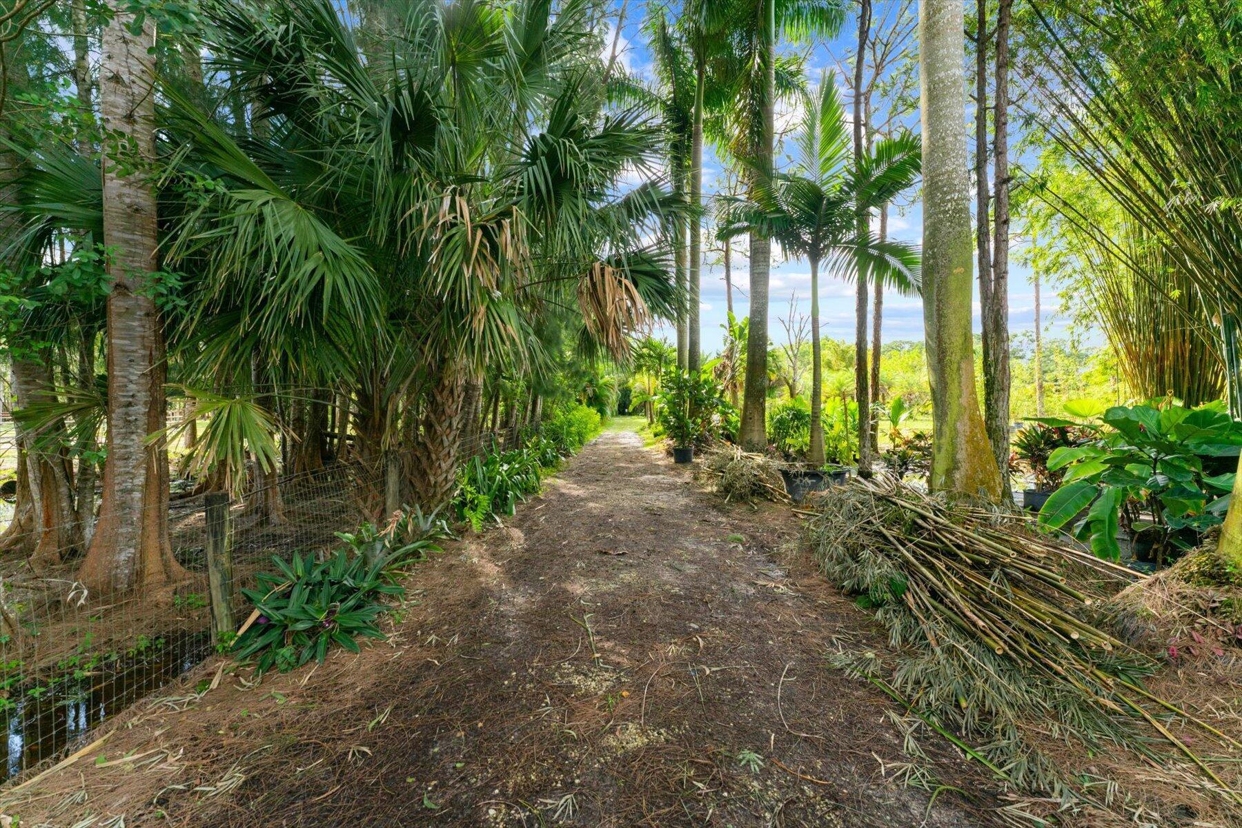 JUPITER FARMS - Residential