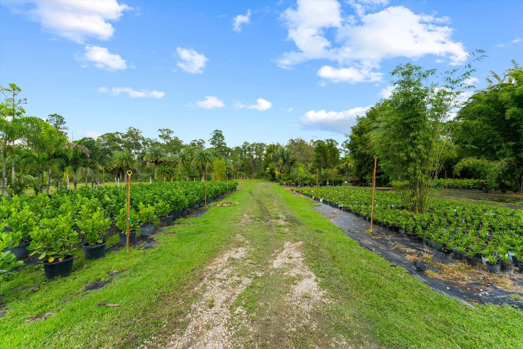 JUPITER FARMS - Residential