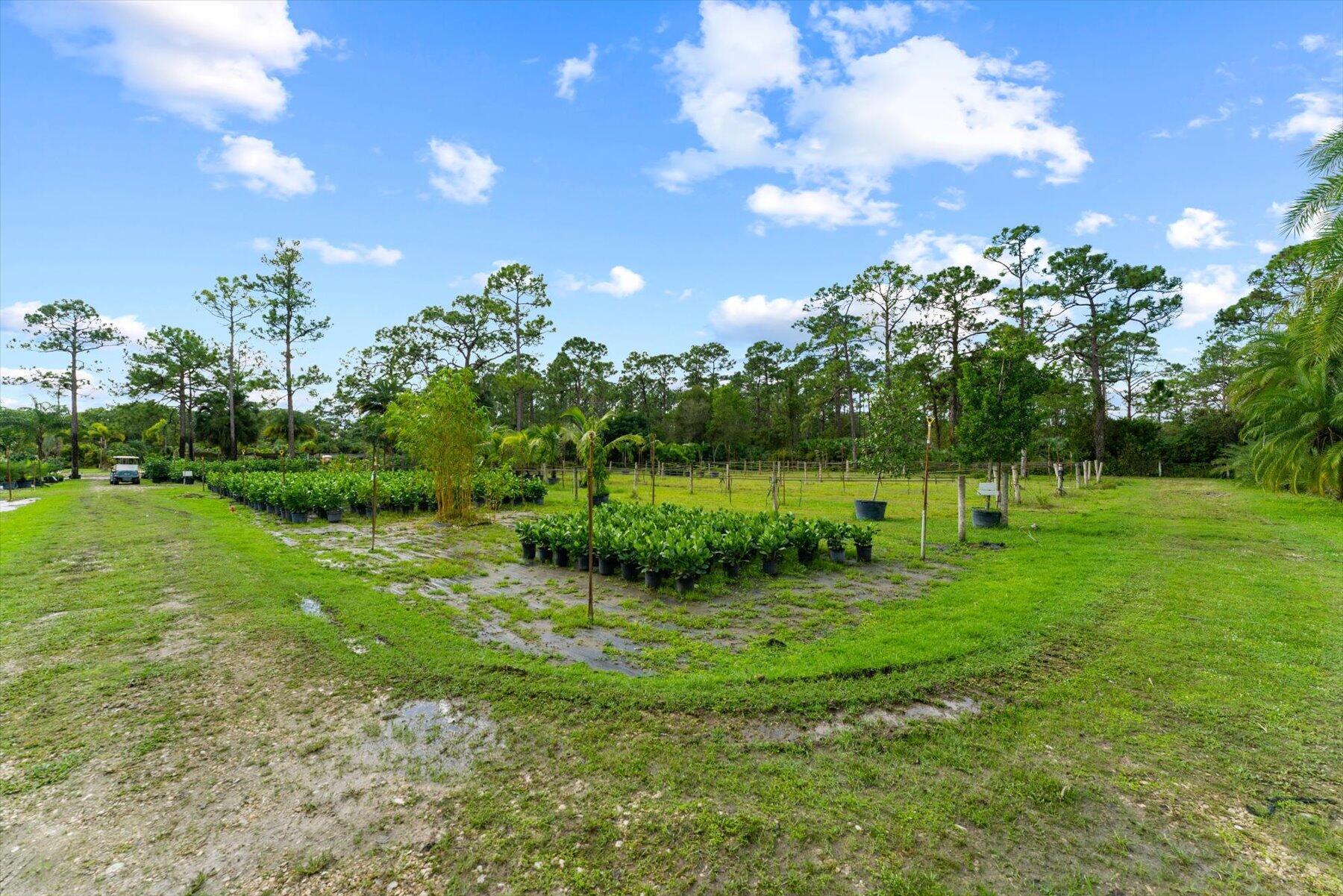 JUPITER FARMS - Residential