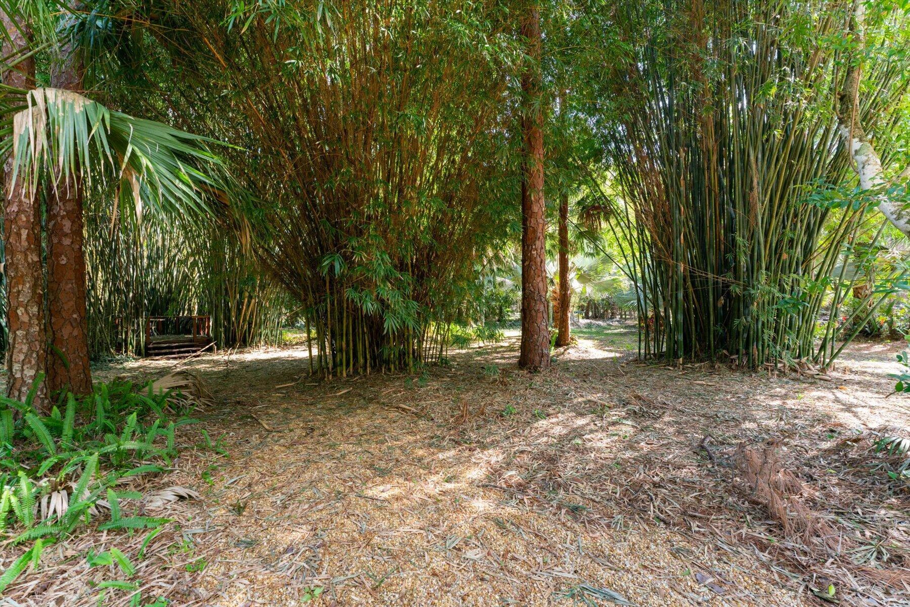 JUPITER FARMS - Residential