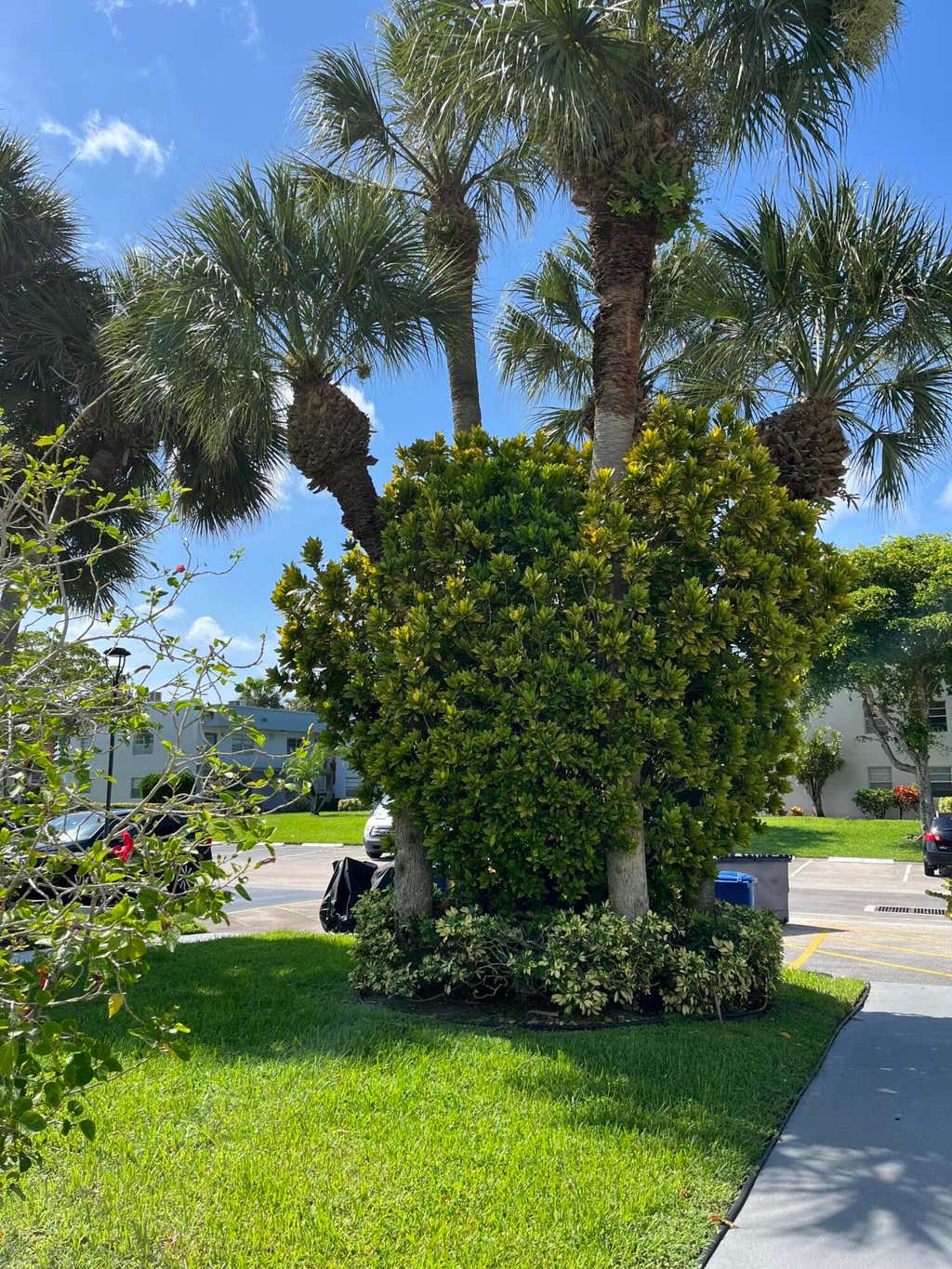 Photo of 23 Piedmont #A, Delray Beach, FL 33484 (MLS # B26065305)