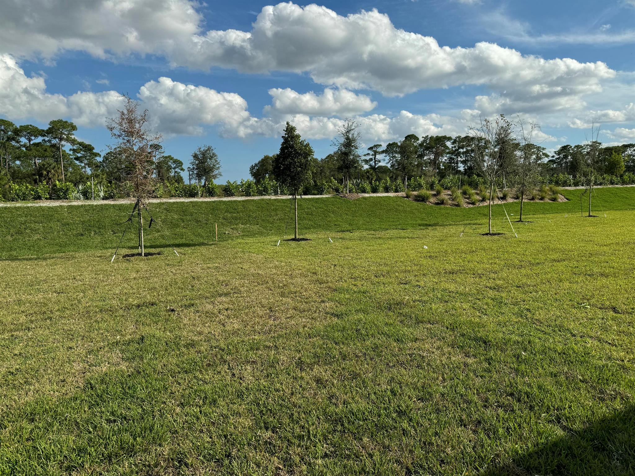 LTC RANCH WEST POD 2 PHAS - Residential Lease