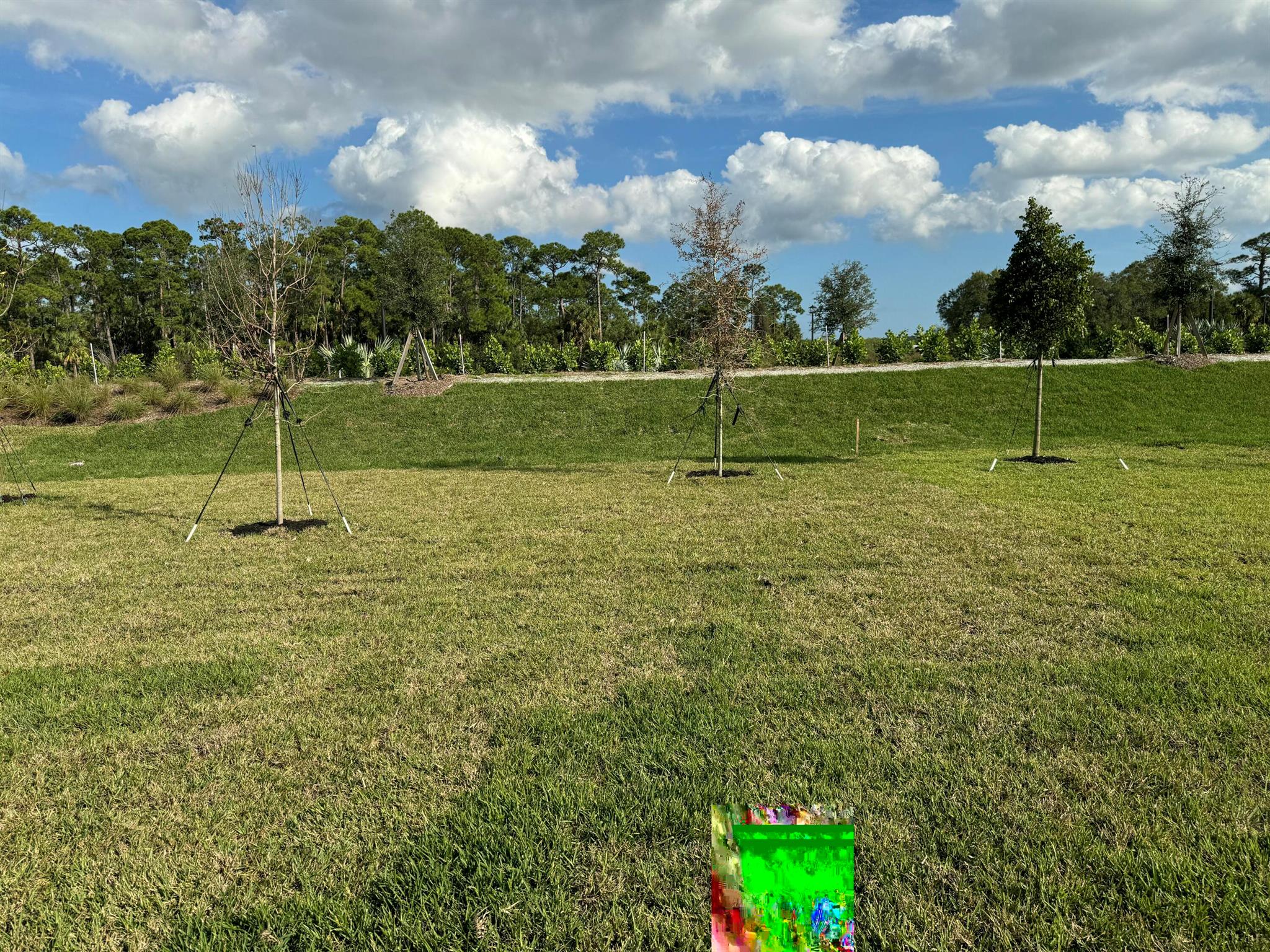 LTC RANCH WEST POD 2 PHAS - Residential Lease