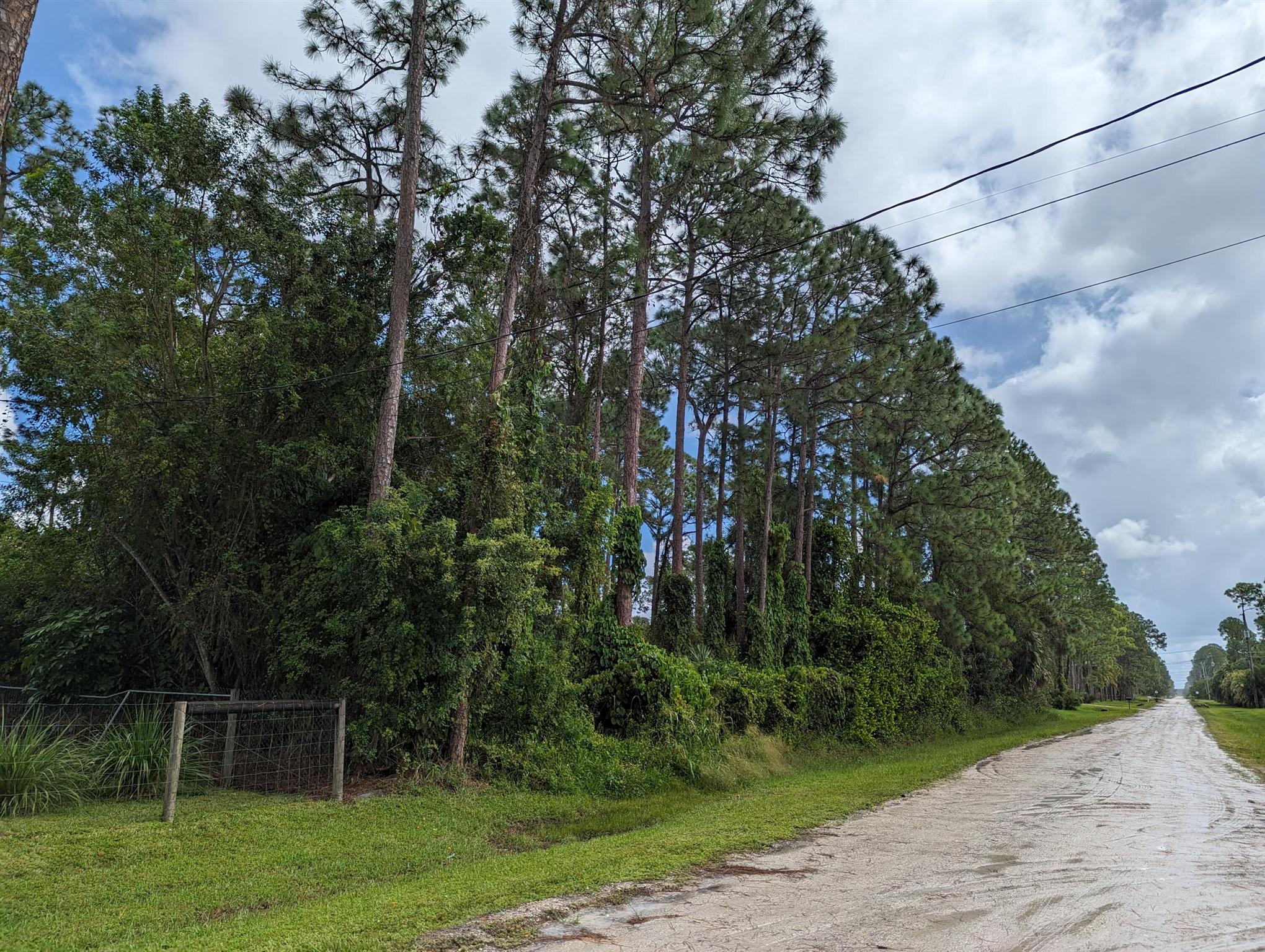 Nice lot, loaded with all pine trees. Property is surrounded by newer homes. Small low spot up front where the quads and side by side cut thru on a trail. Canal on the eastern boundary. Priced to sell. Please see the current soil test in the documents section. Lot is priced accordingly.