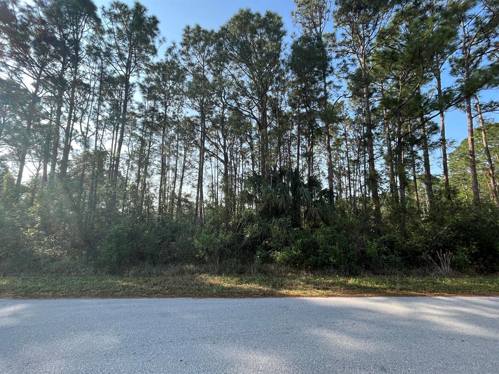LOCATED IN A CONVIENENT AREA WITH NEW HOMES & ENERGETIC GROWTH! ALL LOCAL SCHOOLS ARE WITHIN A 5-MIN COMMUTE. JUST A FEW MINUTES NORTH TAKES YOU TO MALABAR ROAD WHERE YOU WILL FIND PLENTY OF STORES & RESTURANTS OR A FEW MINUTES SOUTH IS THE BAYSIDE LAKES COMMERCIAL CENTER FEATURING GROCERIES, SHOPS, EATERIES, BANKING & MORE. THE NEW ST. JOHN'S HERITAGE PKWY. IS 10 MIN, TAKING YOU TO US-192, MELBOURNE & I-95.