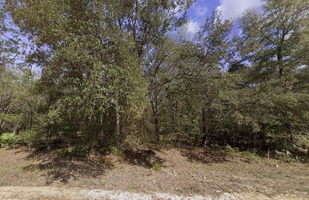 Do not miss out on this oversized 0.65-acre high and dry lot in the growing city of Interlachen. With power lines already in place, accessing electricity is a breeze. Located within minutes of schools, restaurants, diners, and parks. An easy commute to Gainesville or Palatka and less than an hour from the beach. Investing in land in Florida is a wise choice for your future, whether you're looking to build your dream home, a vacation getaway, a rental property, or simply let the land appreciate as a valuable long-term asset to resell at a profit in the future.