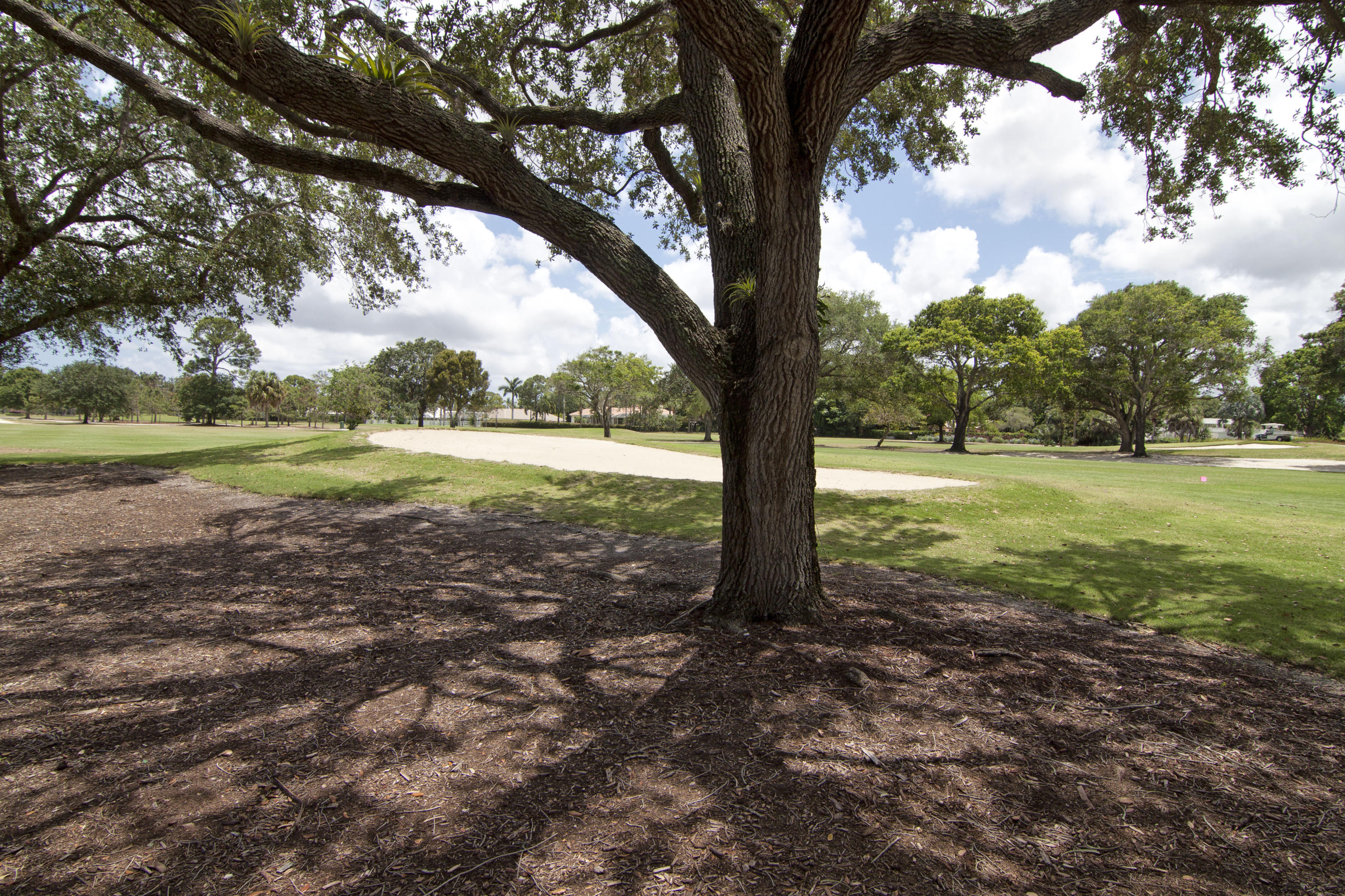 Atlantis - Residential