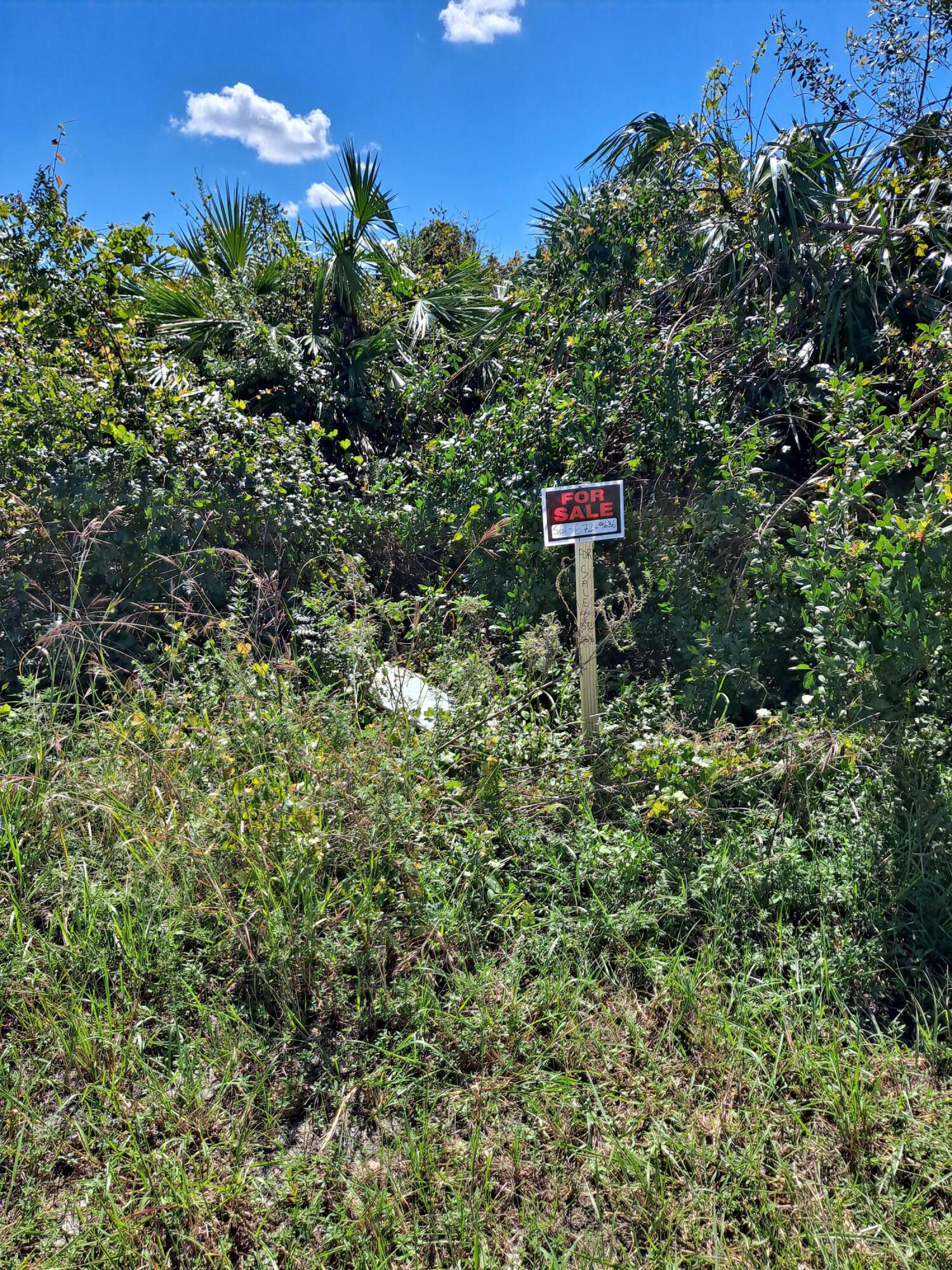 LEHIGH ACRES UNIT 7 - Land