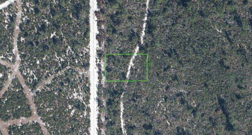 Seabring is a very nice town to live in. Shopping, fine dining, parks and lakes for all recreational interest. The land is close to Lake Josephine, waiting for you to build your desired home.