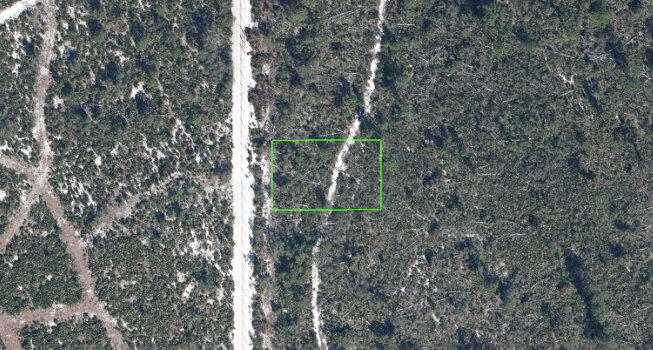 ORANGE BLOSSOM CCC UNIT 18 - Land