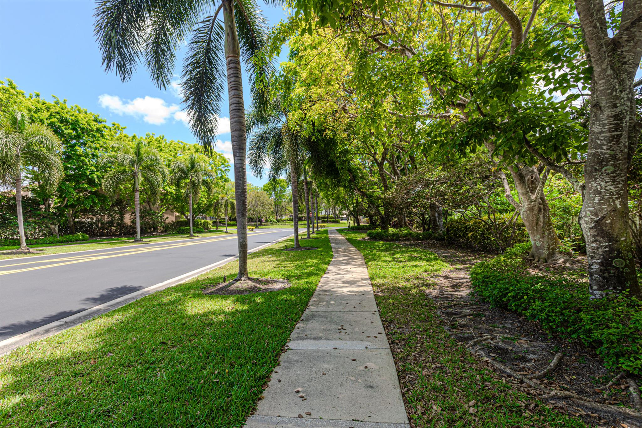 1534 Running Oak Lane