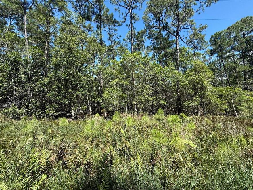 Owner financing available. Build your dream home on this 0.23-acre lot in the Georgetown community, zoned R-2, allowing single-family homes, tiny homes, barndominiums, or mobile homes. Enjoy peaceful living just minutes from Lake George and the St. Johns River, with boating, fishing, and outdoor recreation nearby. The property is part of an HOA, offering community guidelines to maintain neighborhood charm. Conveniently located near Palatka, Crescent City, and local amenities, this lot is perfect for a full-time residence, weekend retreat, or investment property.