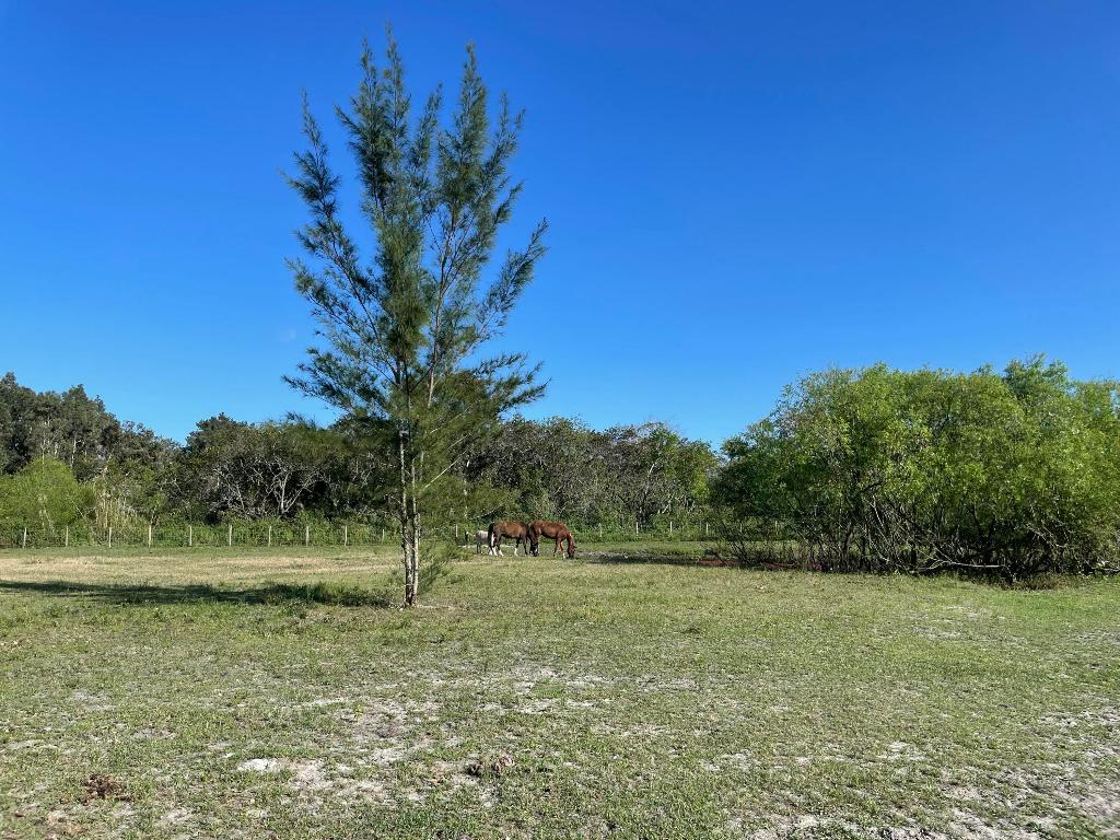 12398 Tangerine Boulevard