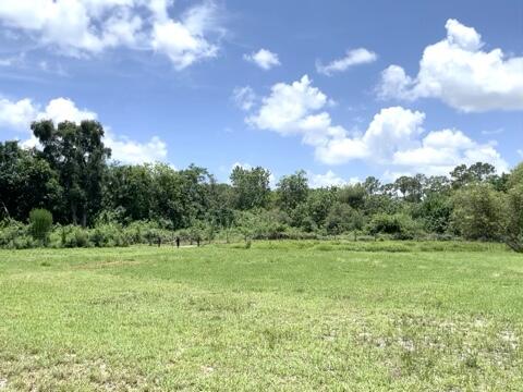 12398 Tangerine Boulevard