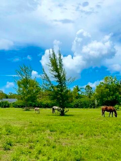 12398 Tangerine Boulevard West Palm Beach FL 33412