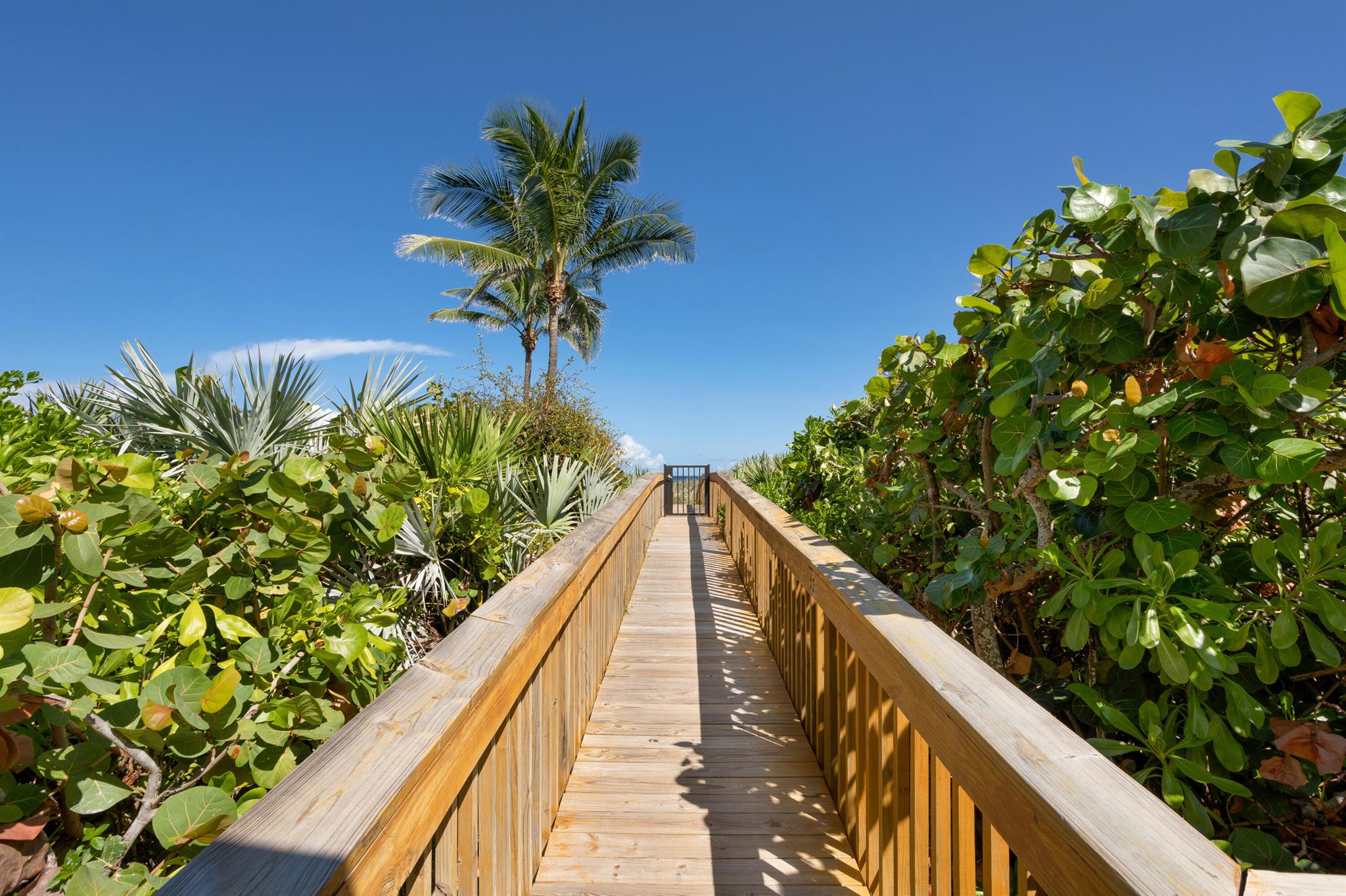 ARAGON - Residential