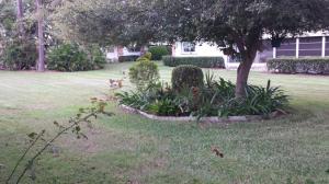 High Point - Residential