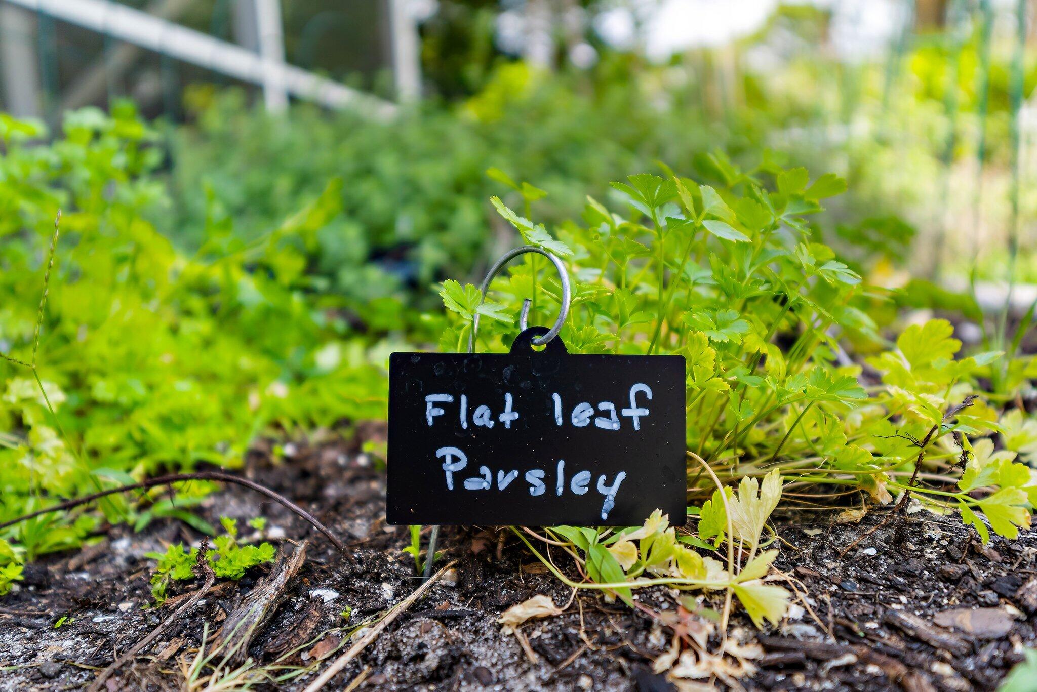 PRESERVE - Residential