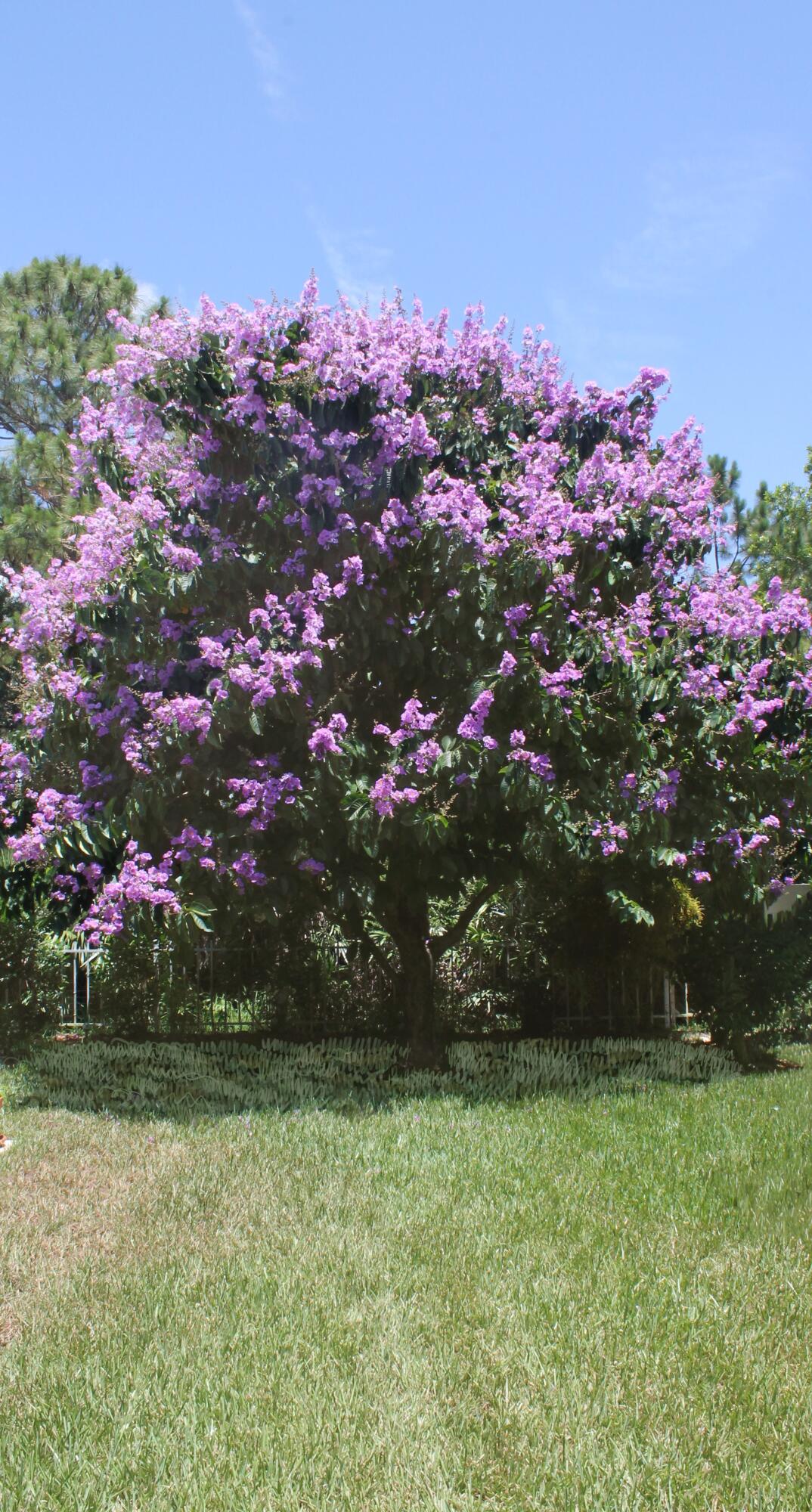 PRESERVE - Residential