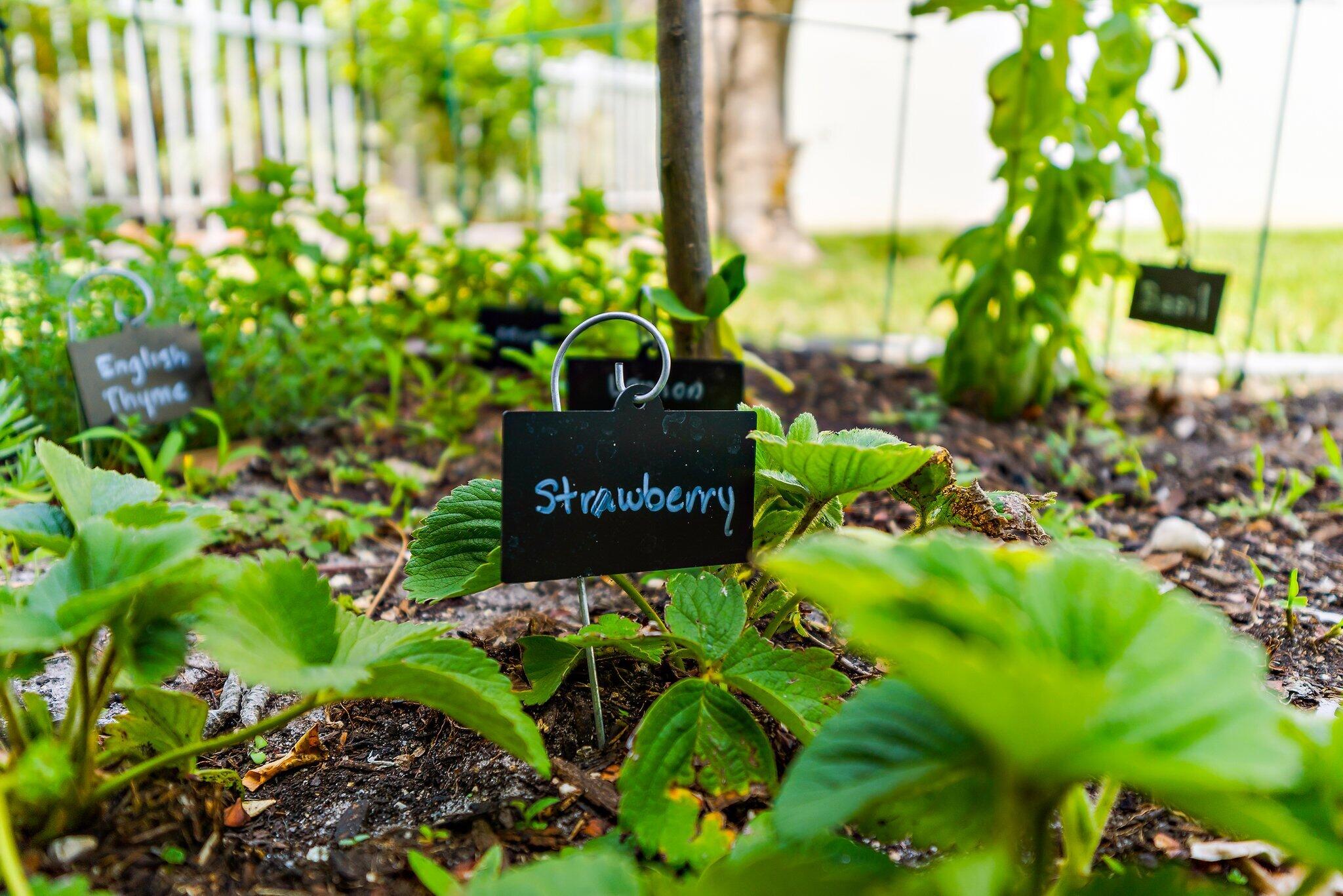 PRESERVE - Residential