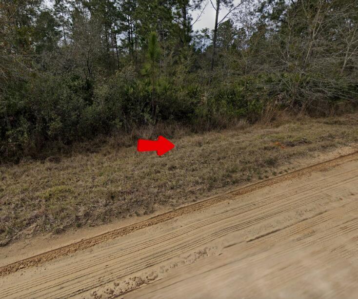 INTERLACHEN LAKES ESTATES - Land