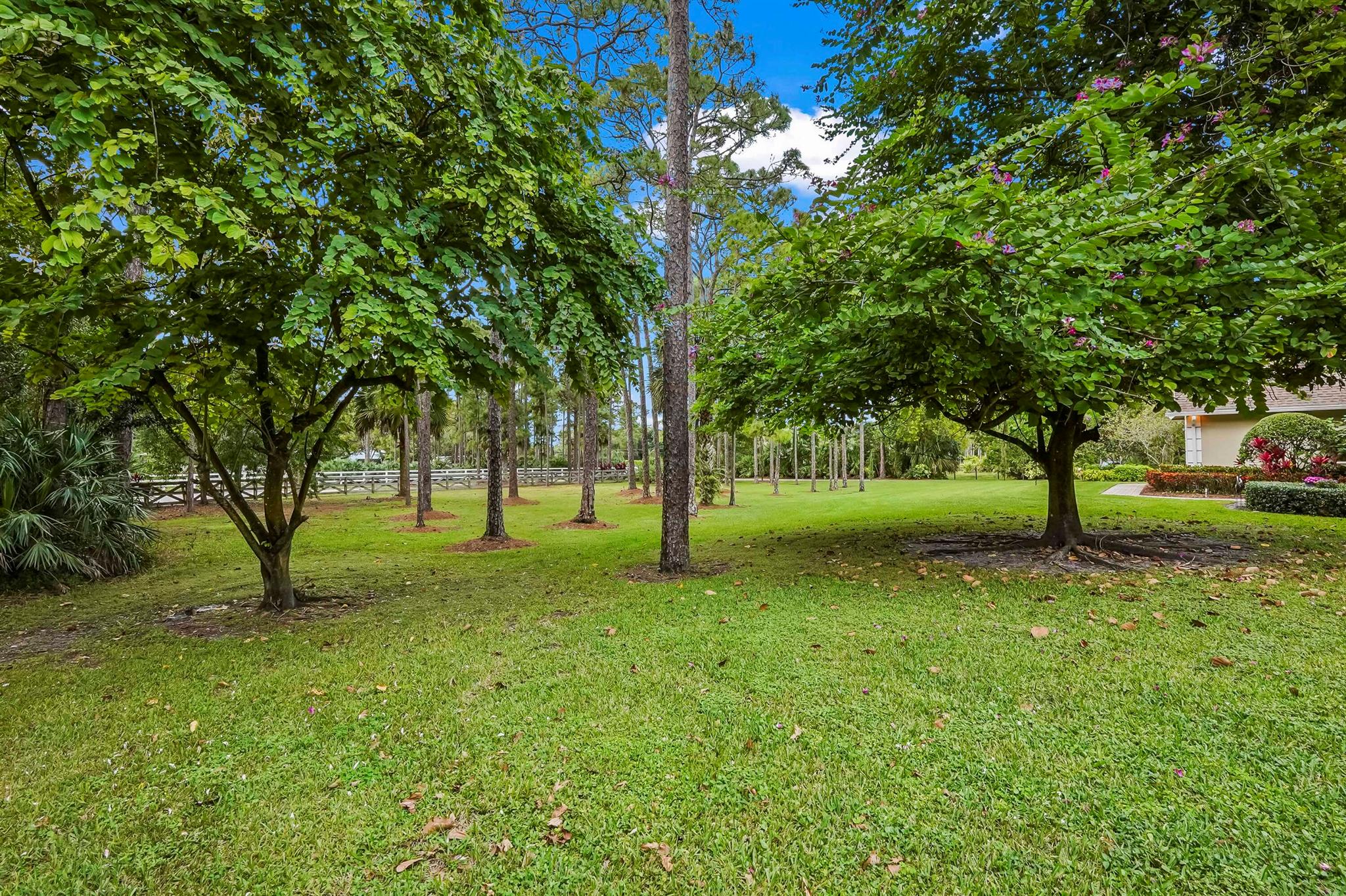 CALOOSA - Residential