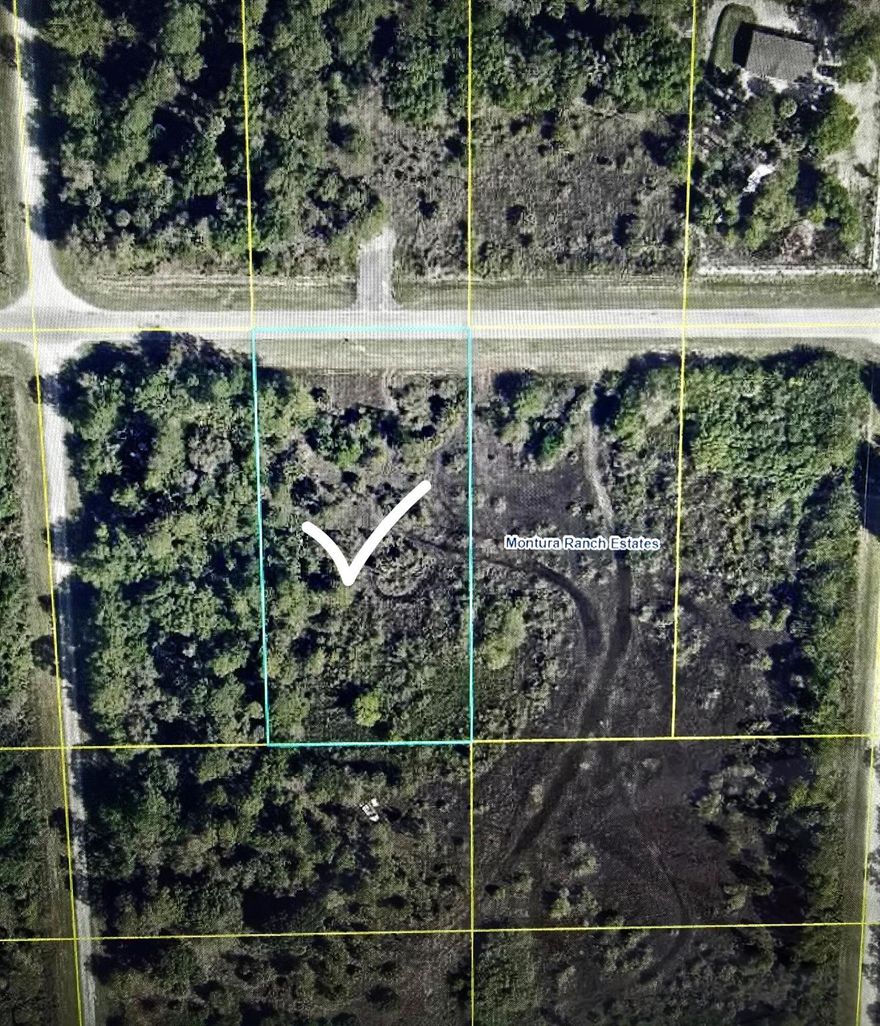 Great investment. This 1.25 acres. Lot is located in one of growing subdivision. Build your dream home. Don't miss this opportunity. 1.25 acres located in the center of Florida. Approximately 10 mins to Walmart 30 mins to international airport 40 mins to beaches ,1 hour To Miami 2 hours theme parks Orlando. Montura Ranches Tranquil country living, and close to shopping and major attractions best of both worlds won't last.