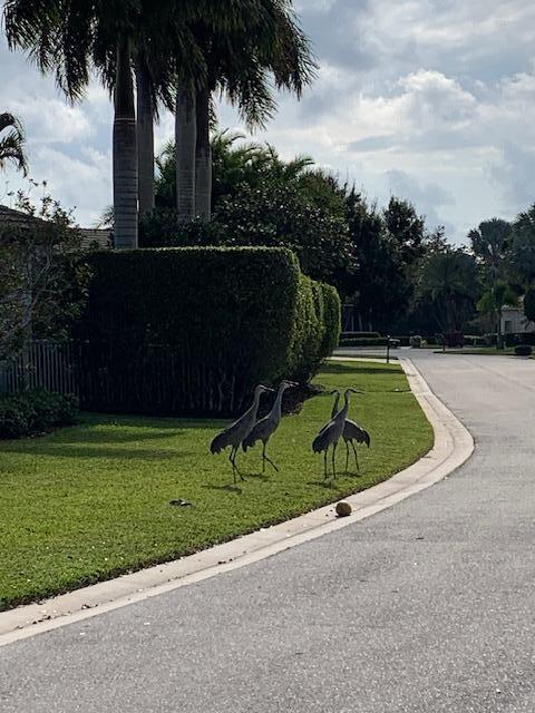 IRONHORSE PAR C REPL 1 - Residential