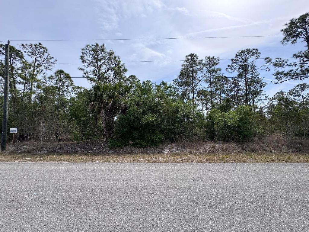 LEHIGH ACRES LEE COUNTY UNINCORPORATED - Land