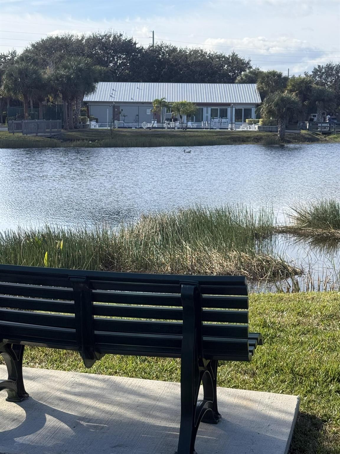 Cinnamon Tree - Residential Lease