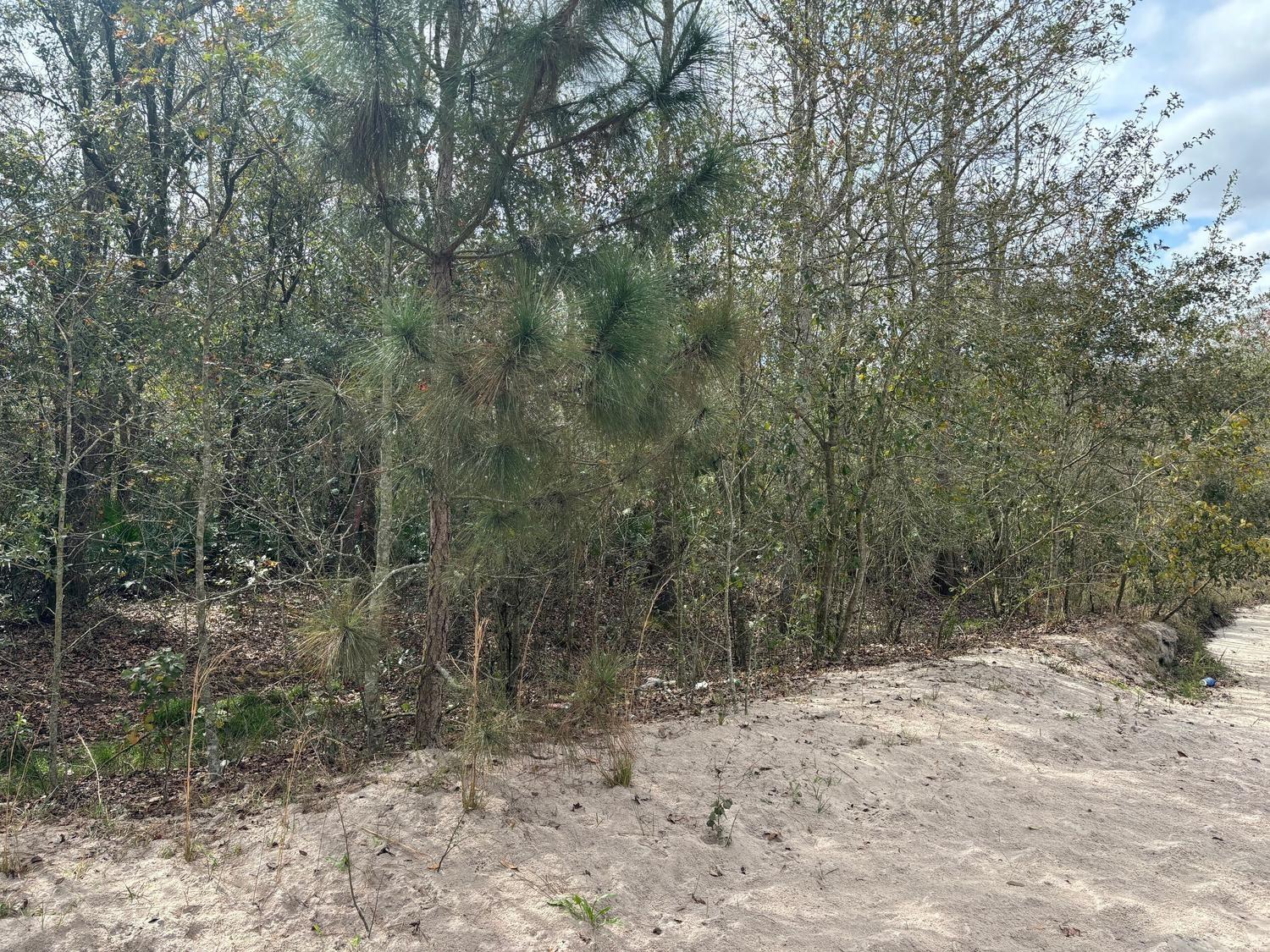 Rancho Bonito RB16 - Land