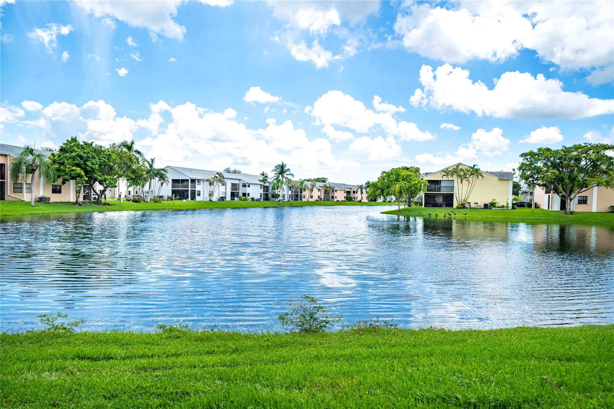 Lakeshore Condo - Residential Lease