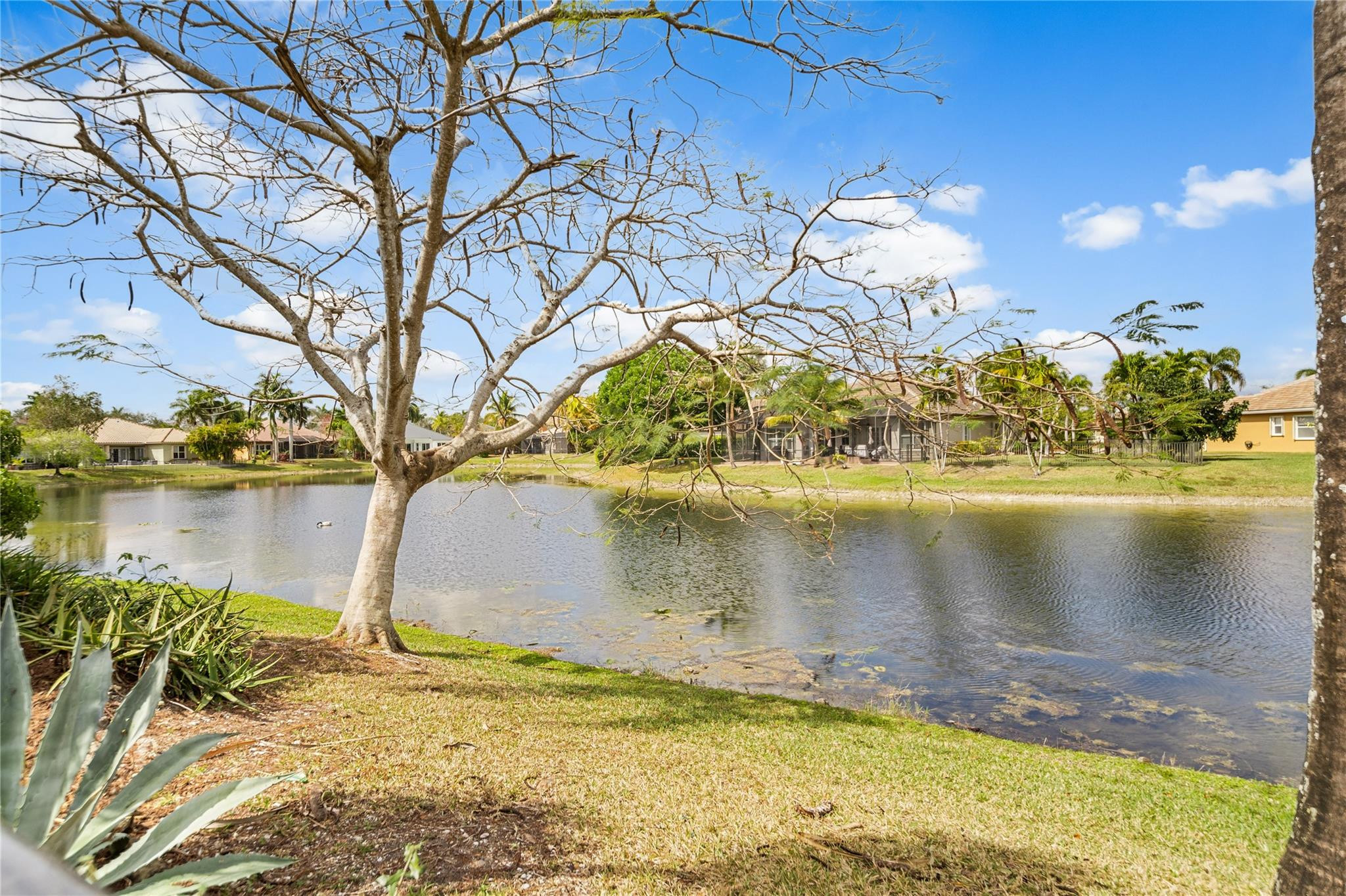 Parkland Isles - Residential