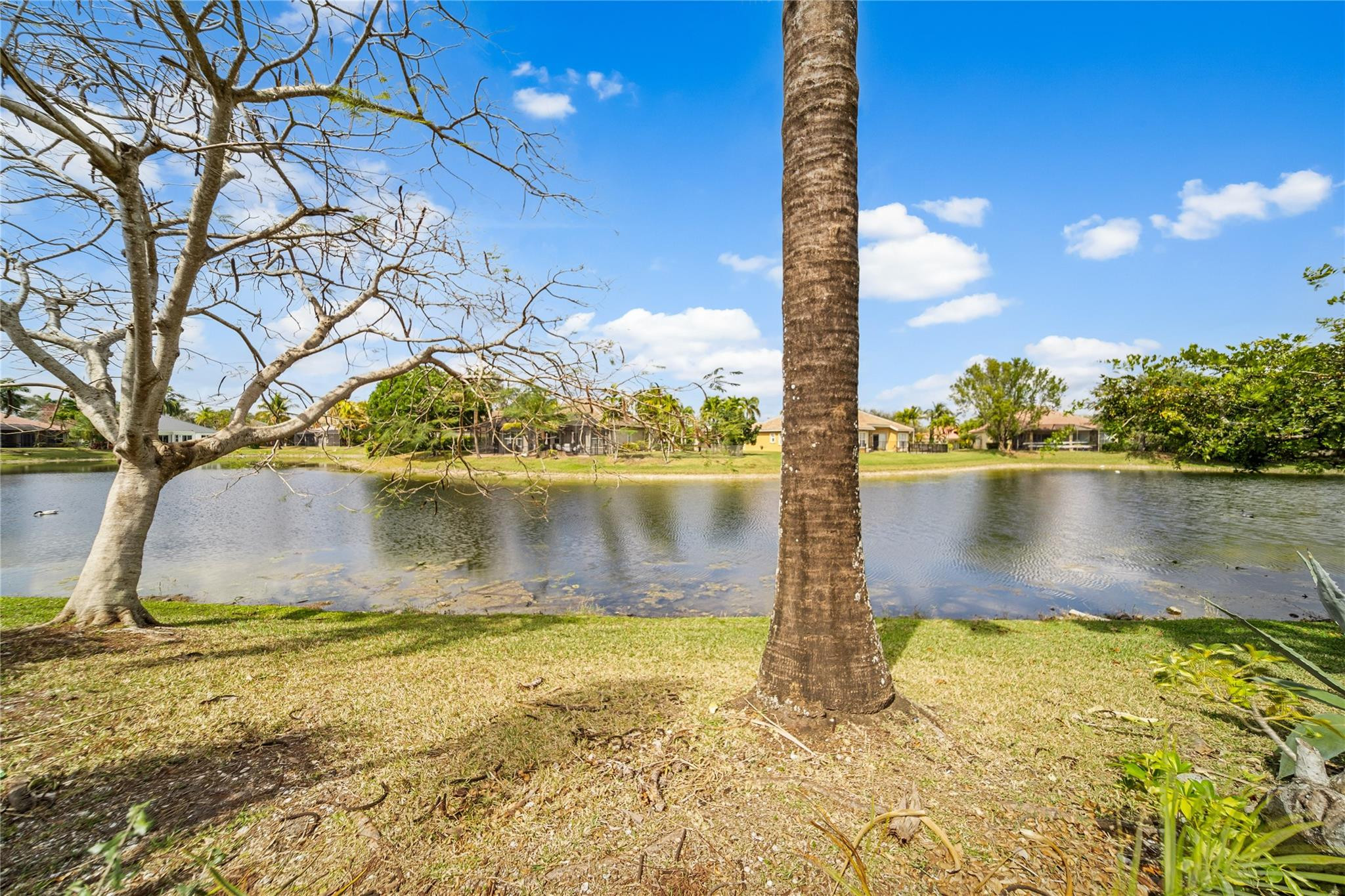 Parkland Isles - Residential