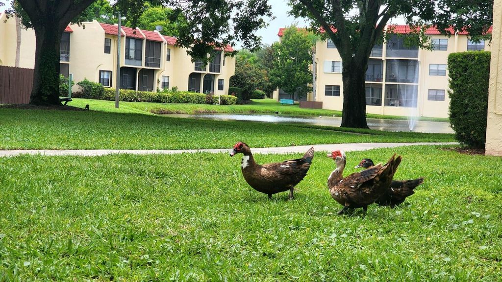 Photo of 2050 Oleander Boulevard #7205, Fort Pierce, FL 34950 (MLS # R11099727)