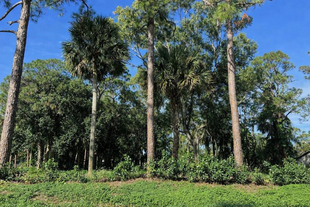 Photo of 4753 123rd Trail N, The Acreage, FL 33411 (MLS # B26022414)