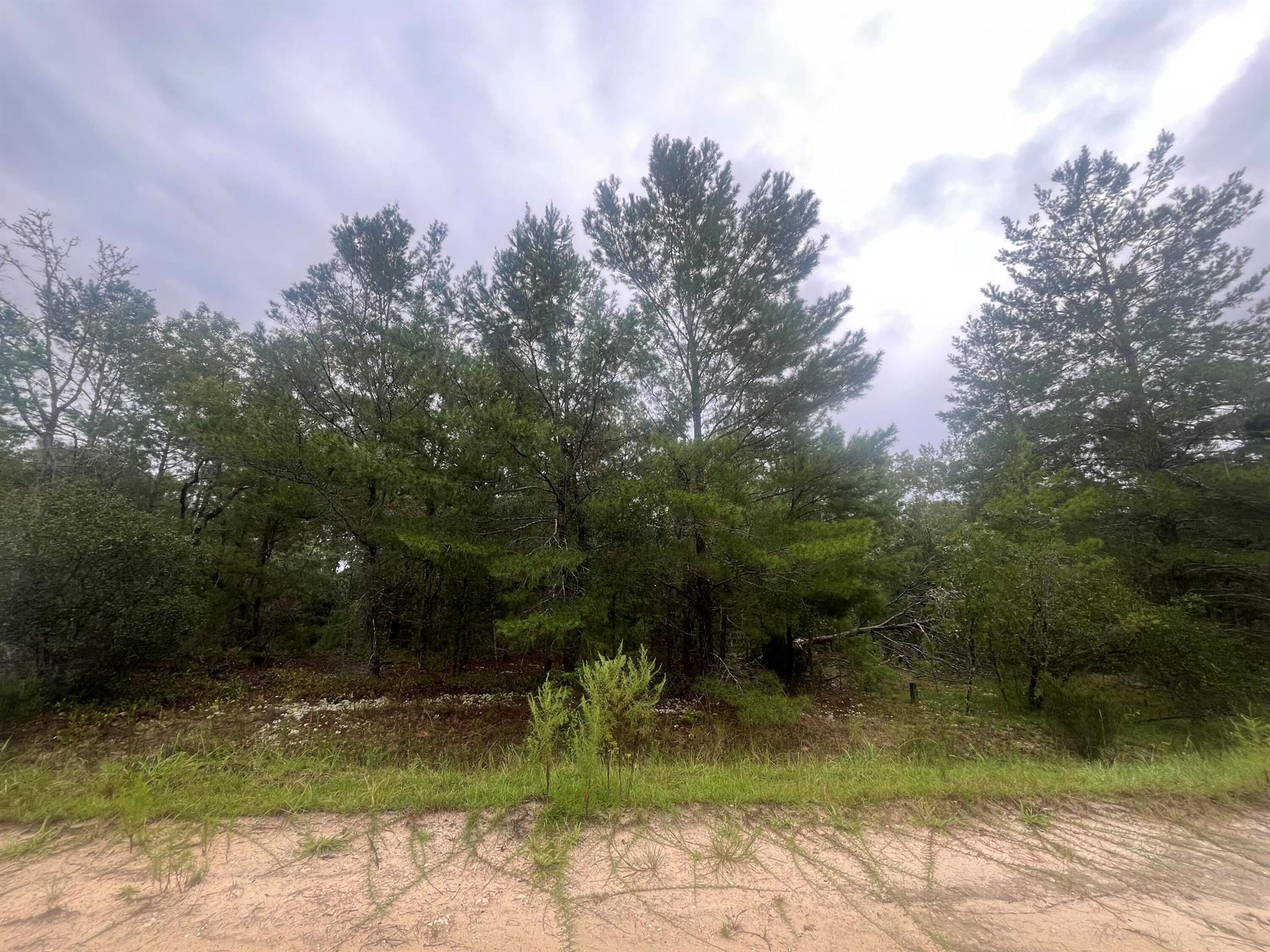 Owner financing is available with only $1,500 down! Build or bring your mobile home to this stunning 0.23 acre lot in the growing city of Interlachen. Recently Mulched! Located within minutes of schools, restaurants, diners, and parks. An easy commute to Gainesville or Palatka and less than an hour from the beach. Investing in land in Florida is a wise choice for your future, whether you're looking to build your dream home, a vacation getaway, a rental property, or simply let the land appreciate as a valuable long-term asset to resell at a profit in the future.