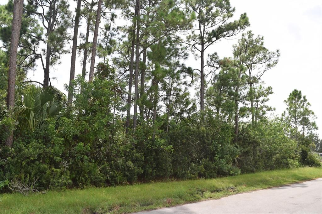 Photo of 1262 SW Santiago Avenue, Port Saint Lucie, FL 34953 (MLS # R10743060)