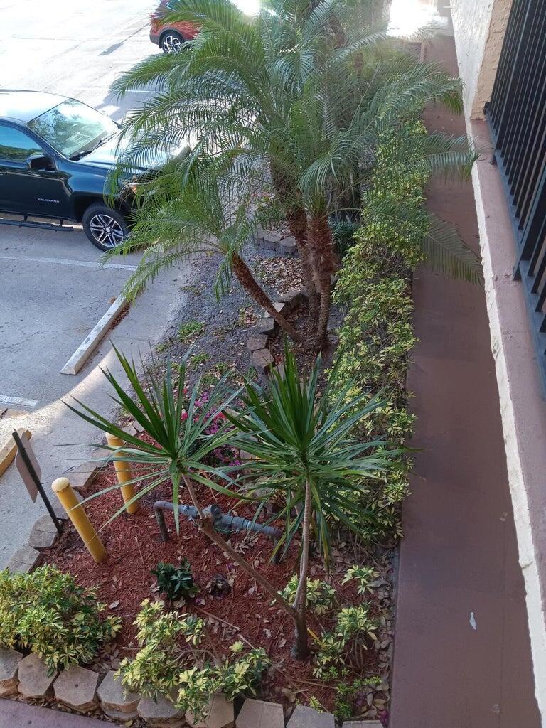 BLUE LAKE APTS CONDO - Residential