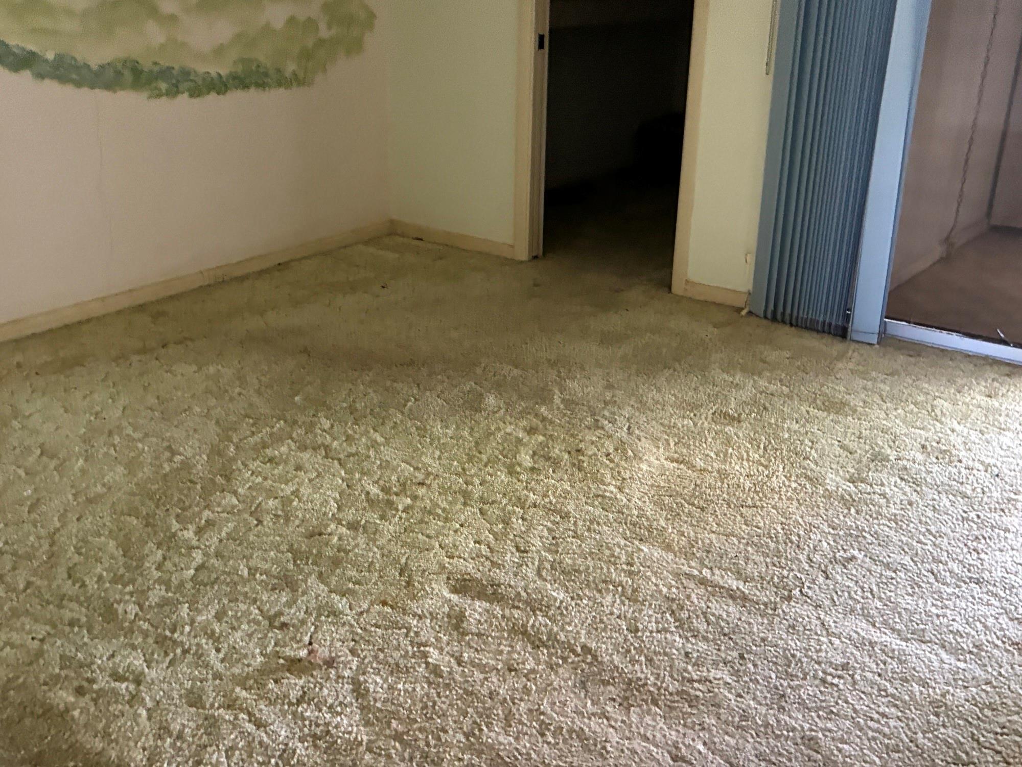 Century Village - Residential