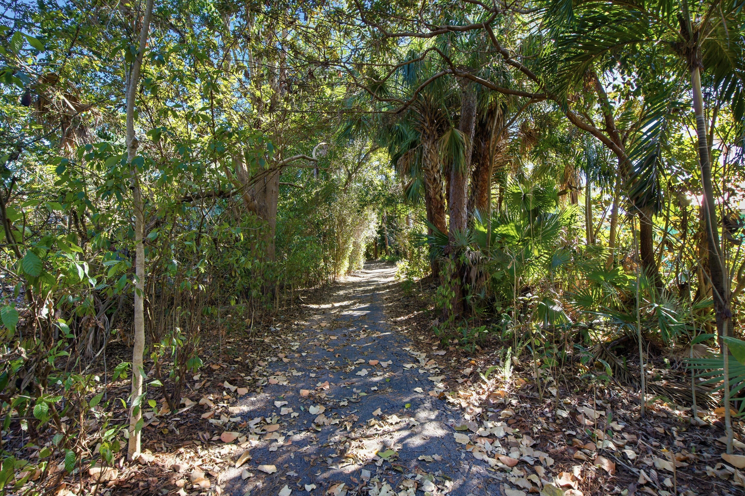 5248 SW Anhinga Avenue